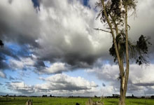 3377体育:深入场馆“CPU”揭秘哈尔滨冰球馆的前沿科技!央视新闻客户端.