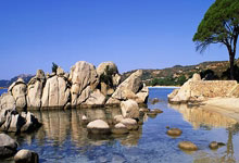 3377体育:英超-奥纳纳离谱脱手送大礼 曼联主场不敌布莱顿.